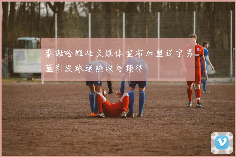 泰勒哈维社交媒体宣布加盟辽宁男篮引发球迷热议与期待